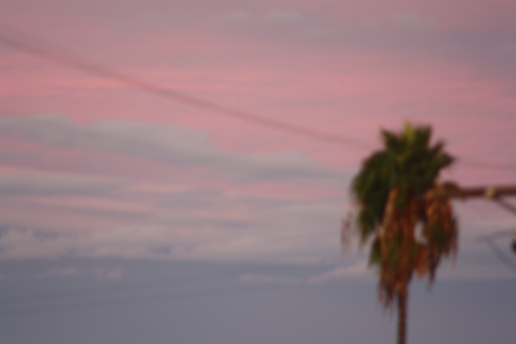 Pink Los Angeles skies and palm trees before we hit the road